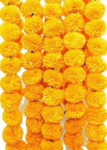 Diwali Flowers